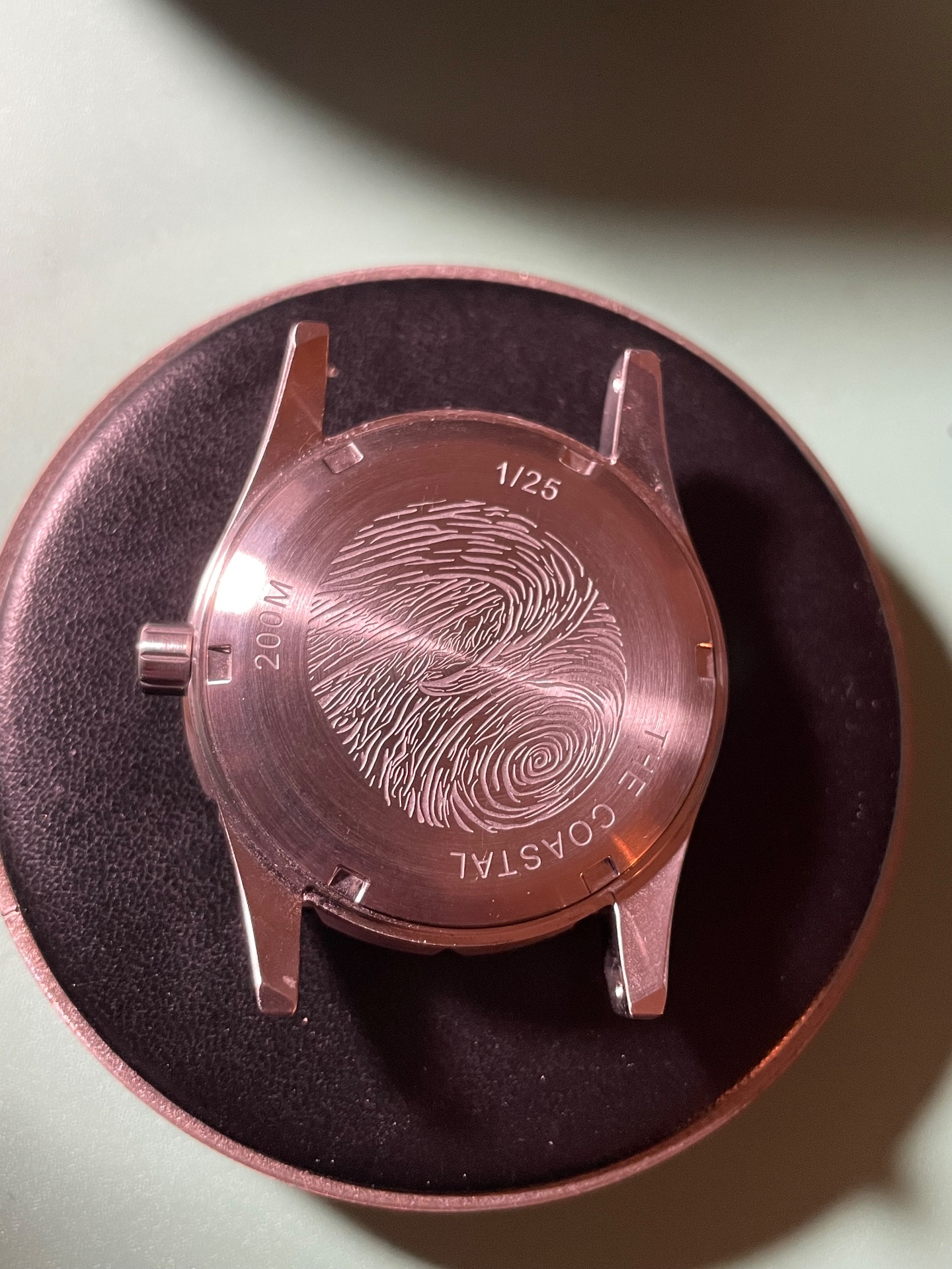 Golby The Teal Coastal Watch by Golby — photo 3